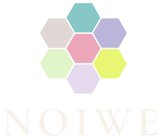 NOIWE logo